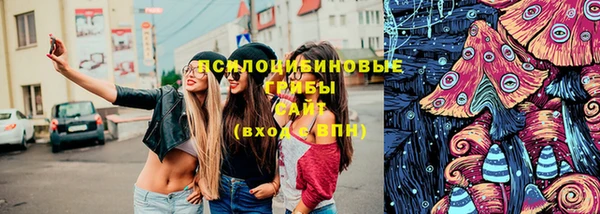 винт Пересвет