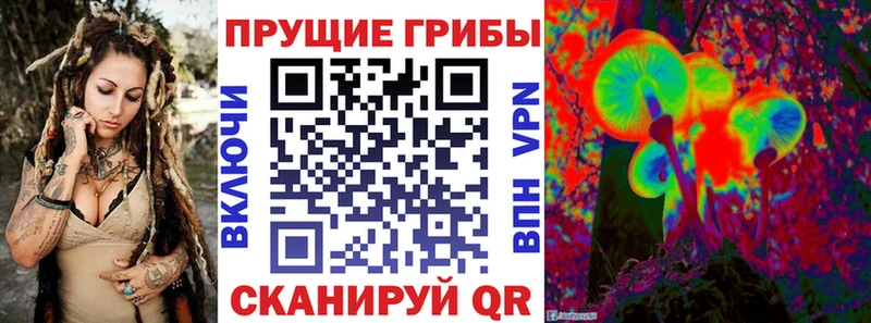 цена   Дно  Галлюциногенные грибы мухоморы 